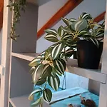 Apartment La Mansardina Di Sabrina *