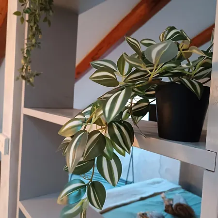 Appartement La Mansardina Di Sabrina *