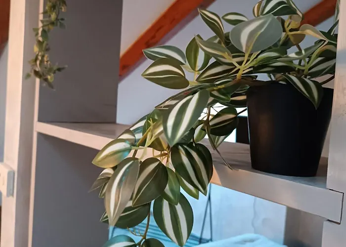 Apartament La Mansardina Di Sabrina *